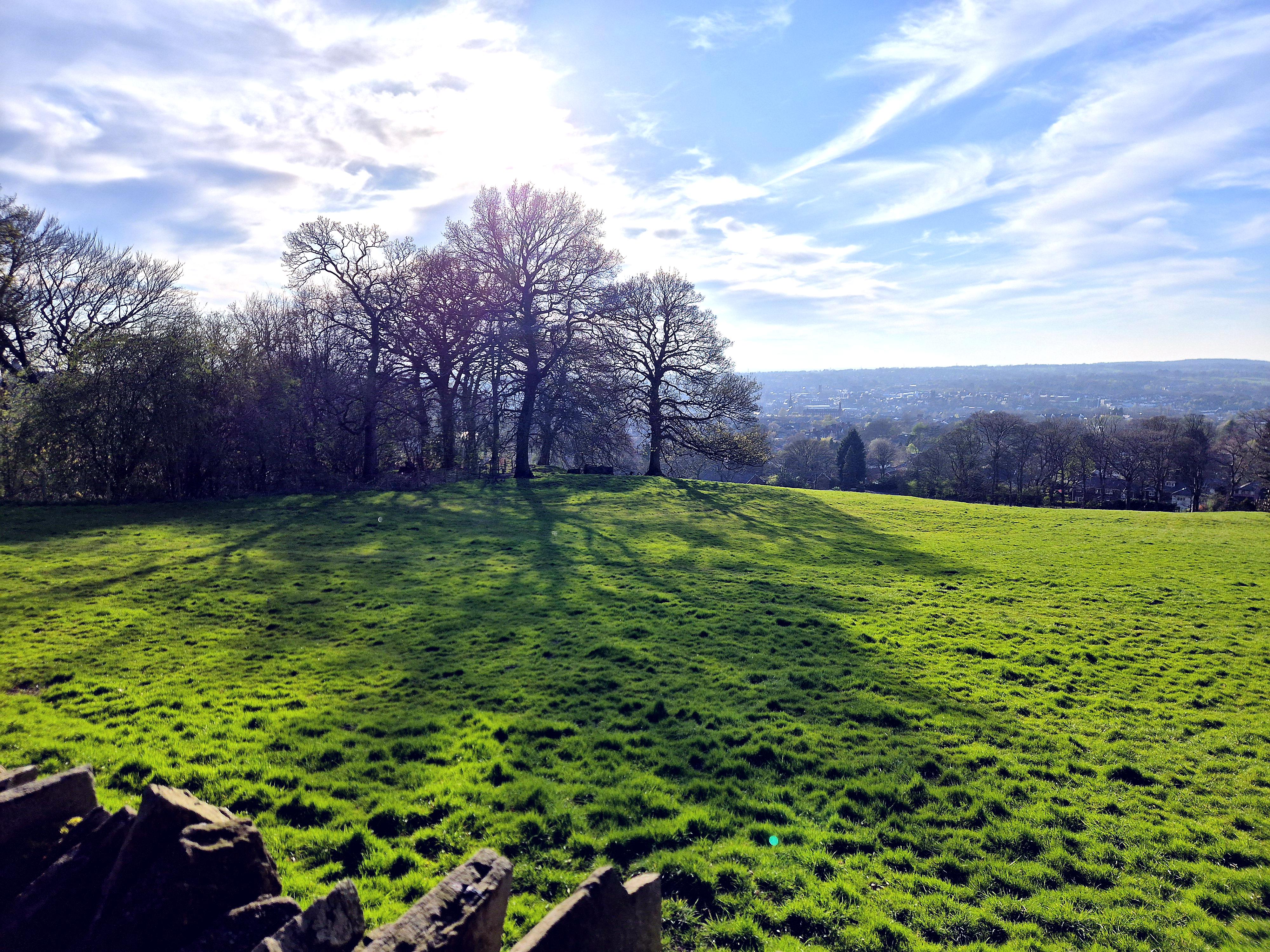 Eddisbury Park Field